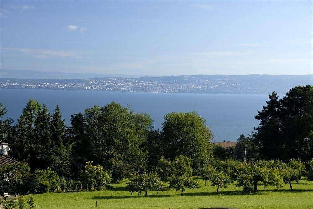 Residence Odalys Les Chalets D'Evian Bagian luar foto