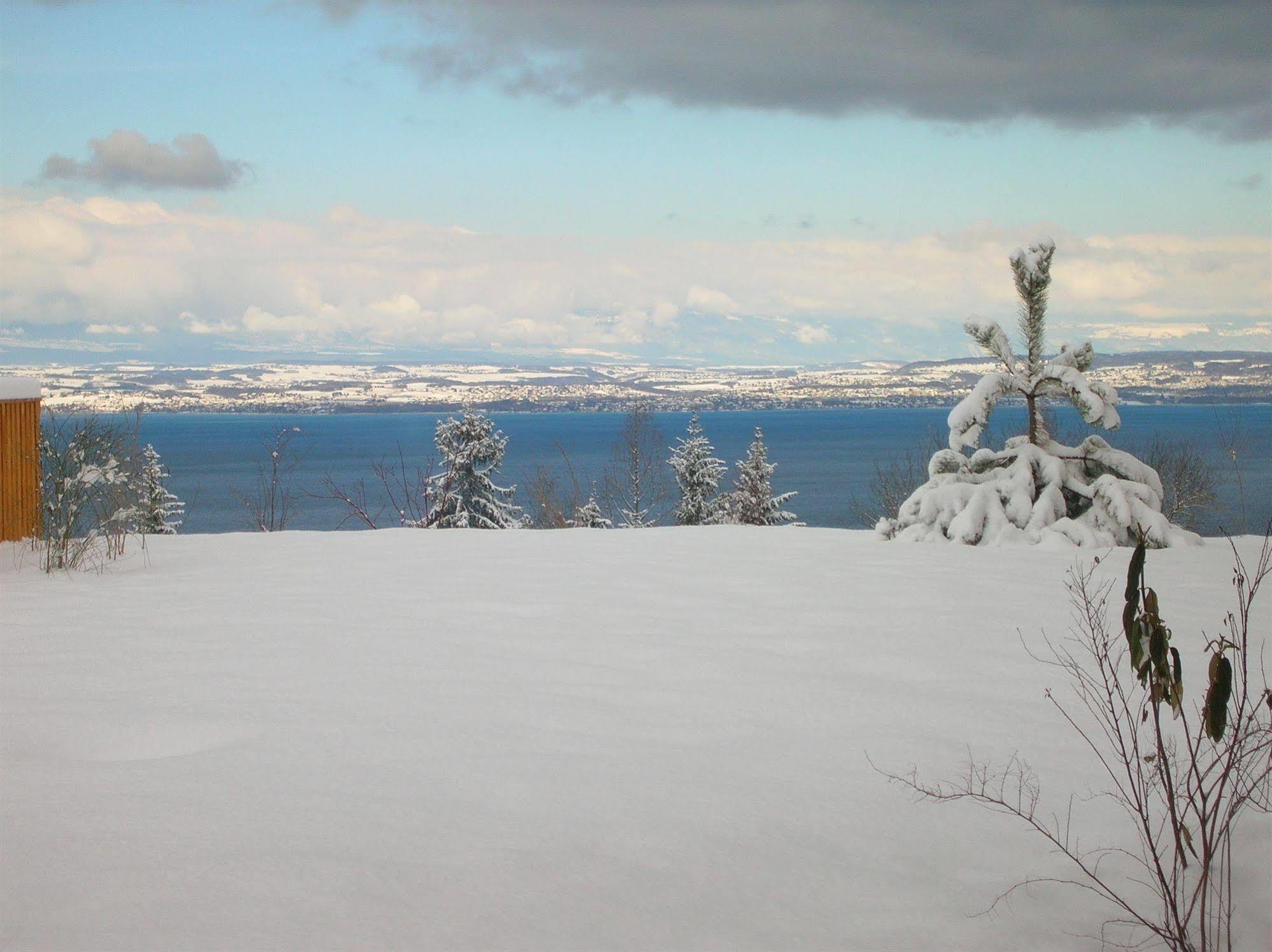 Residence Odalys Les Chalets D'Evian Bagian luar foto